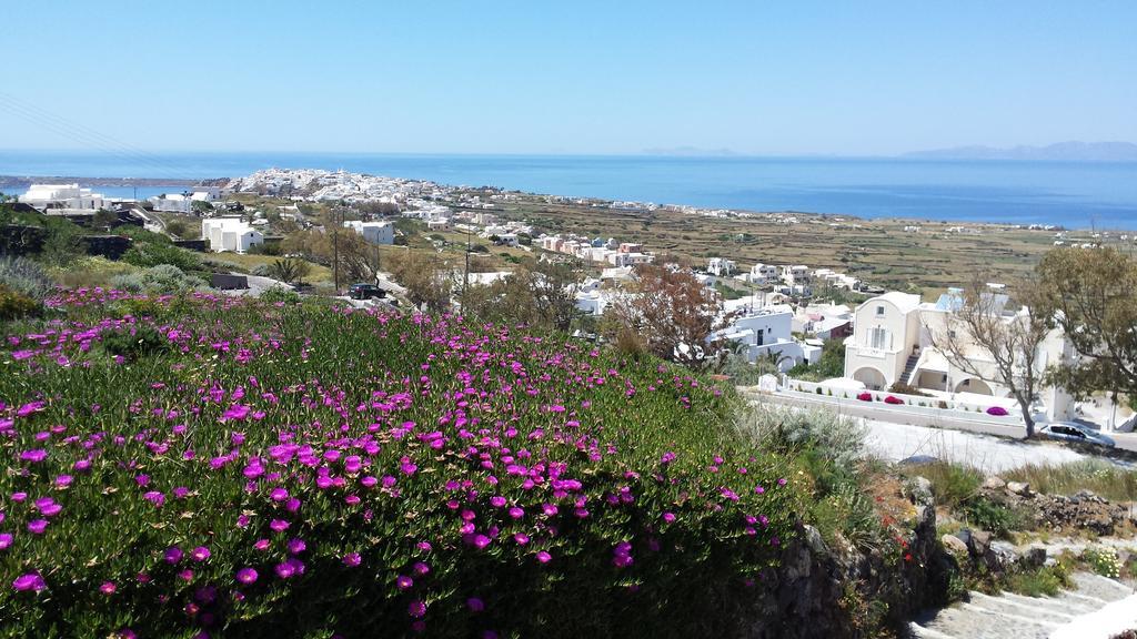 Alonistra Oia Houses Foinikia  Bagian luar foto