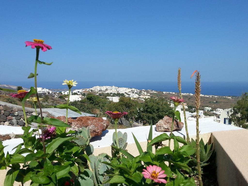 Alonistra Oia Houses Foinikia  Ruang foto